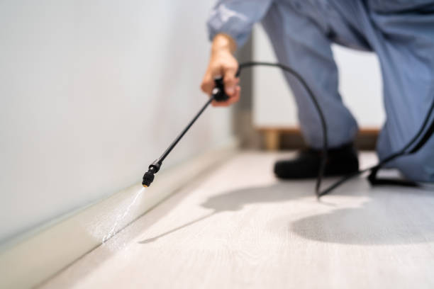 Licensed Mosquito Control service in Yakutat City and Borough County, AK - Nex Pest Control